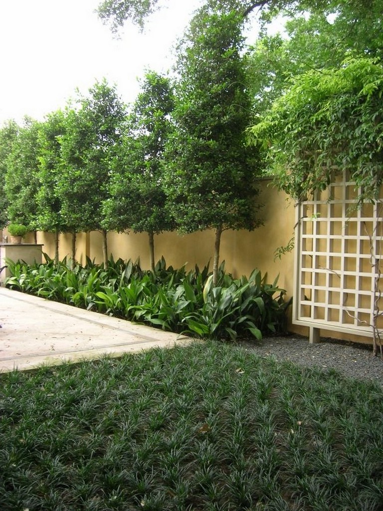 Backyard Privacy Landscaping, How To Landscape A Small Backyard For Privacy